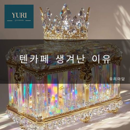 강남 텐카페 생겨난 이유 시스템,가격