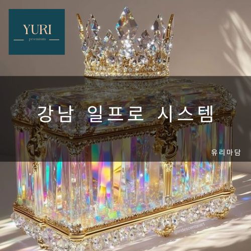 강남 일프로 소개