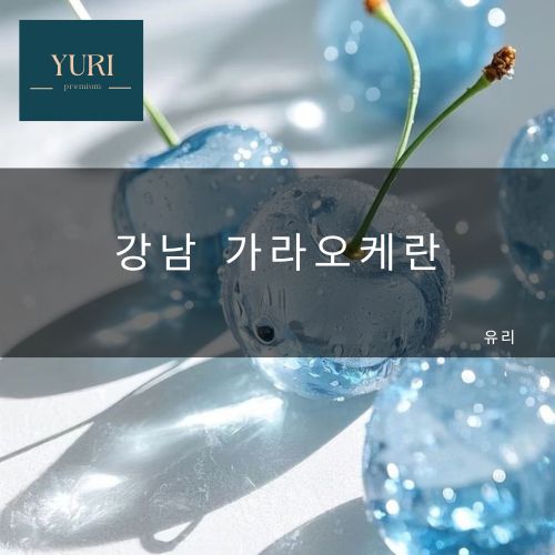 강남 가라오케 시스템