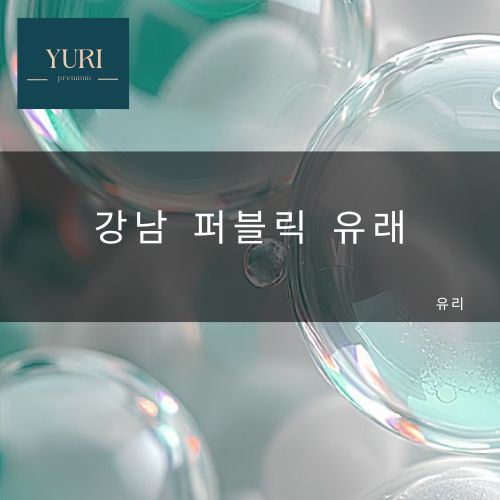 강남 퍼블릭 유래와 뜻