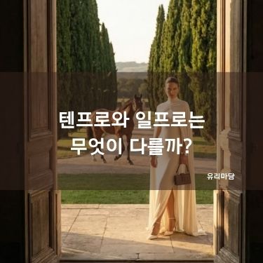 텐프로와 일프로는 무엇이 다를까?